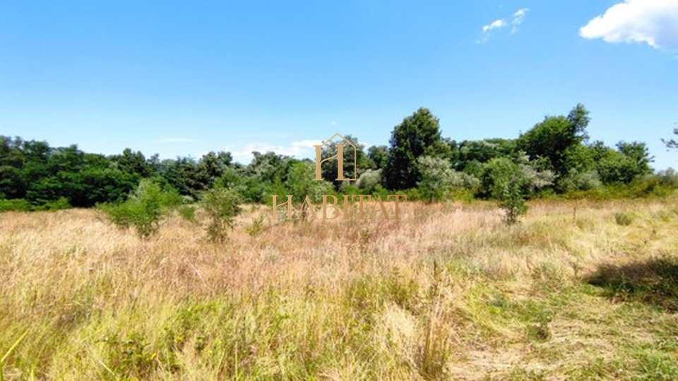 Land, 7500 m2, For Sale, Vabriga