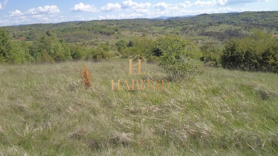 Land, 46576 m2, For Sale, Poreč
