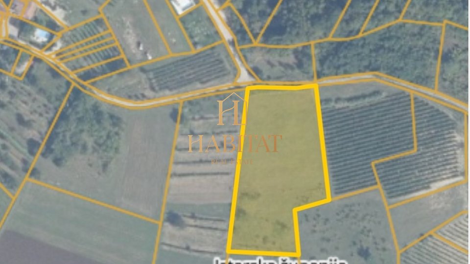 Land, 4933 m2, For Sale, Motovun - Brkač