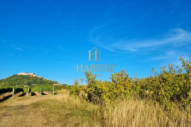 Land, 4933 m2, For Sale, Motovun - Brkač