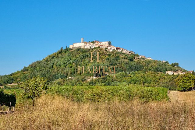 Land, 4485 m2, For Sale, Motovun - Brkač