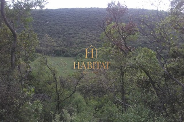 Land, 34661 m2, For Sale, Kavran