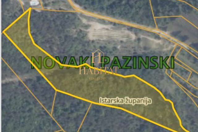 Land, 22650 m2, For Sale, Novaki Pazinski