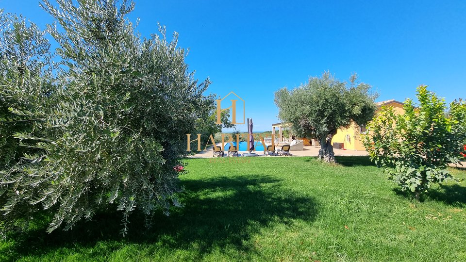 LUXUSVILLA mit Pool, Blick auf das Meer und Olivenhaine, Novigrad