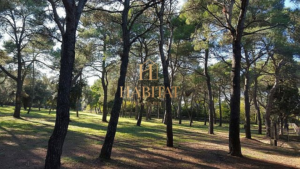 Istria, Rovinj, building land 12058m2, T1, T2, T3, all infrastructure, near the sea