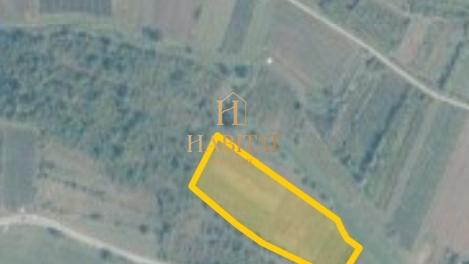Land, 14858 m2, For Sale, Buje