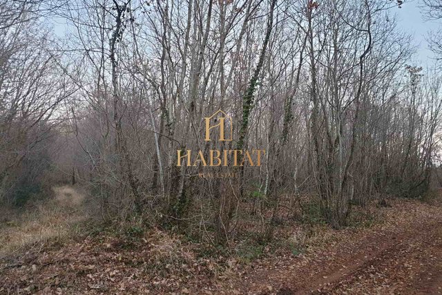 Land, 8850 m2, For Sale, Vodnjan - Barbariga