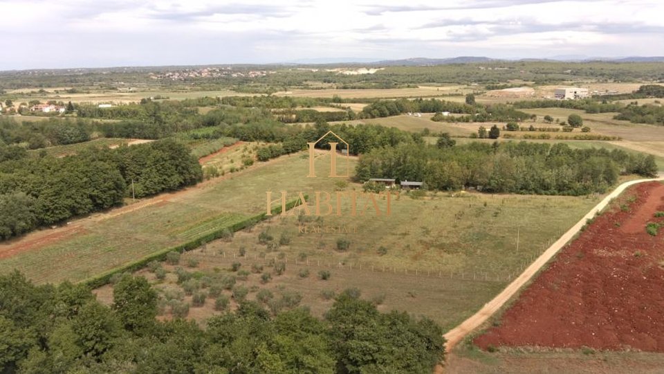 Land, 4000 m2, For Sale, Umag - Petrovija