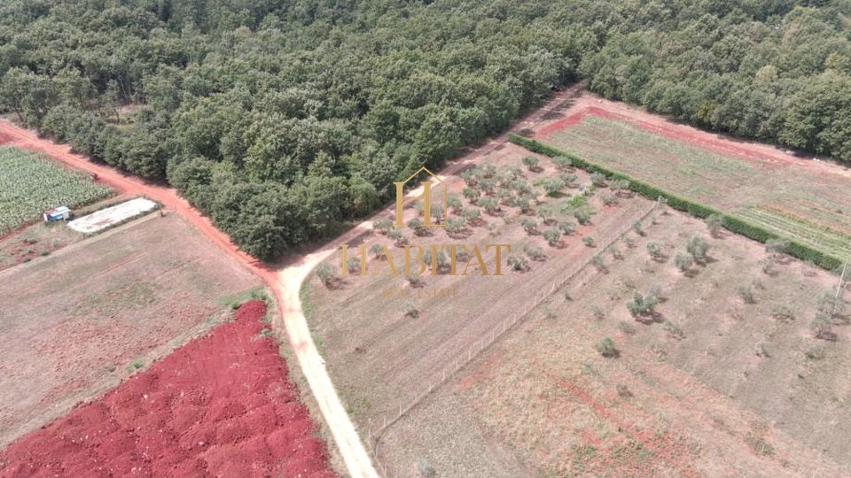 Land, 4000 m2, For Sale, Umag - Petrovija