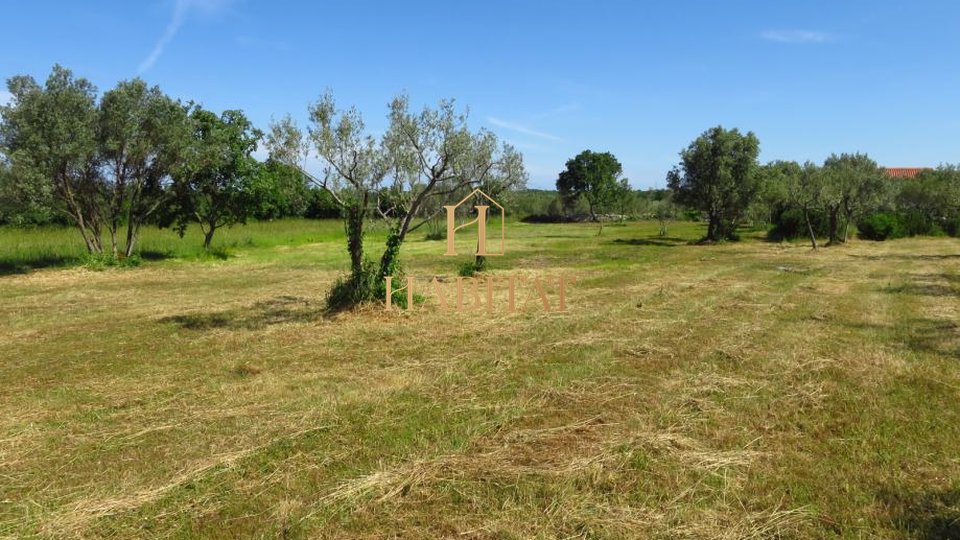 Land, 2320 m2, For Sale, Vodnjan - Peroj