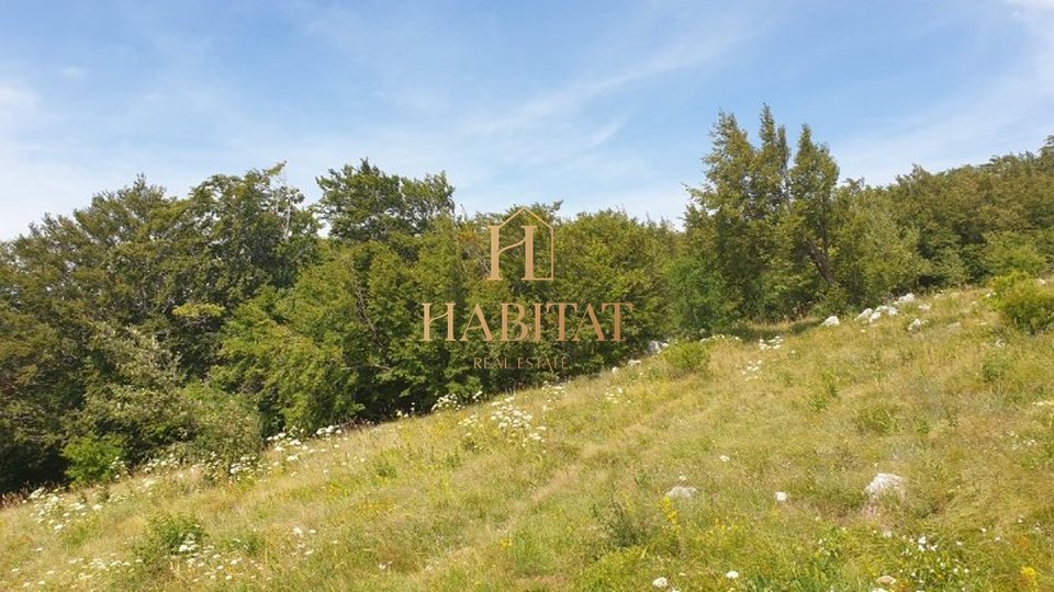 Land, 5518 m2, For Sale, Hreljin