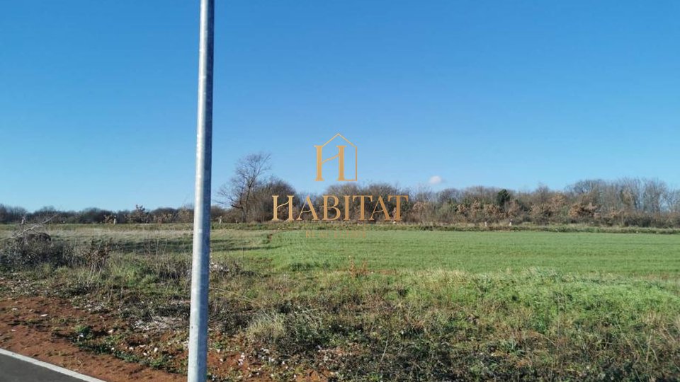 Land, 6400 m2, For Sale, Barban
