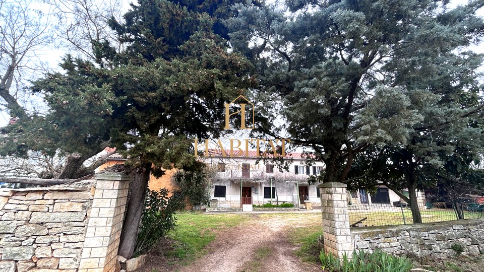 Istrien, Plovanija, 4 Reihenhäuser, 755m2 Grundstück, zur Renovierung