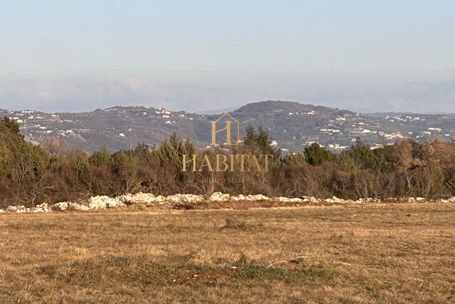 Land, 21258 m2, For Sale, Savudrija