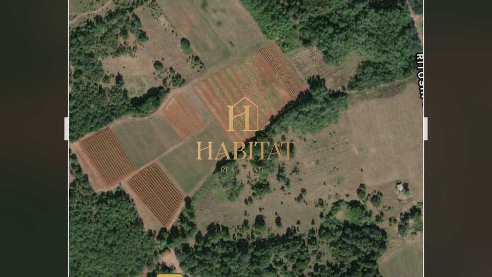 Istra, Visnjan, poljoprivredna parcela, 13.245 m2, prodaja