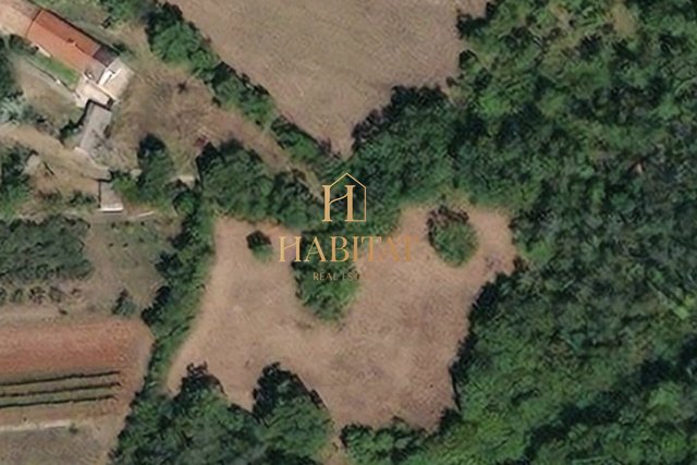 Land, 760 m2, For Sale, Buje - Plovanija