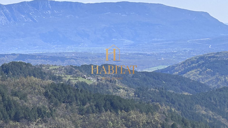 Istra, Gradinje, šuma, pašnjak, oranica, livada, ukupno 148826m2, prodaja