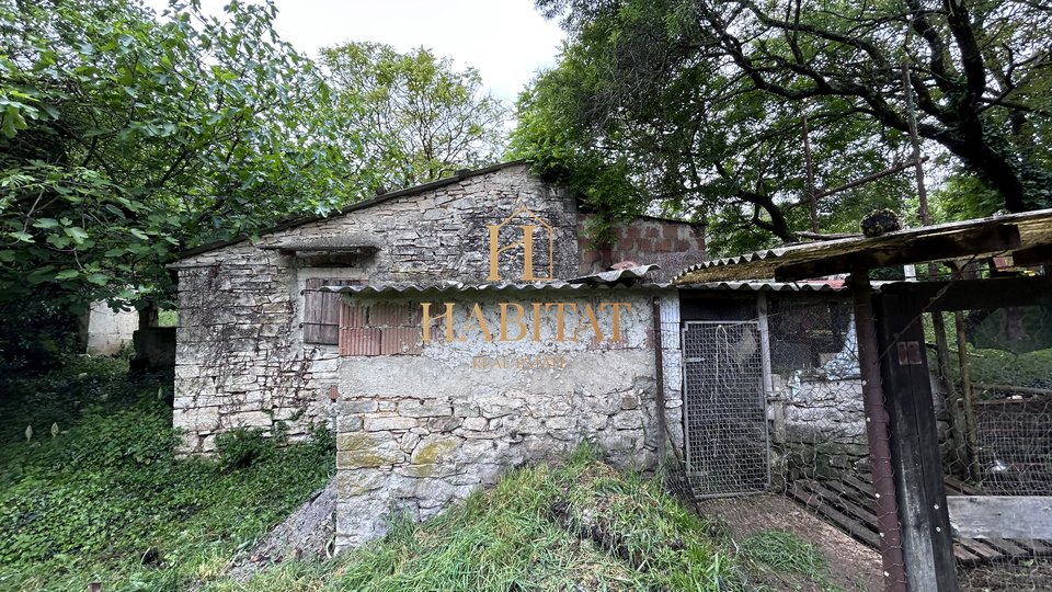 Istrien, Plovania, Doppelhaus auf einem Baugrundstück von 721m2, 18857m2 landwirtschaftliche Nutzfläche, Wald