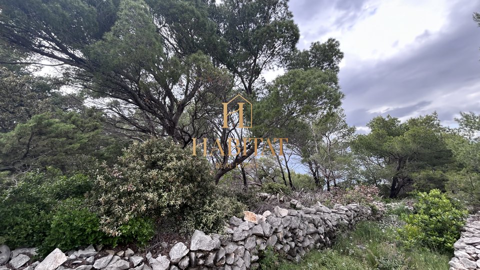 Dalmatien, Brac, Grundstück 19.706m2, erste Reihe zum Meer, 4 Gebäude auf dem Grundstück