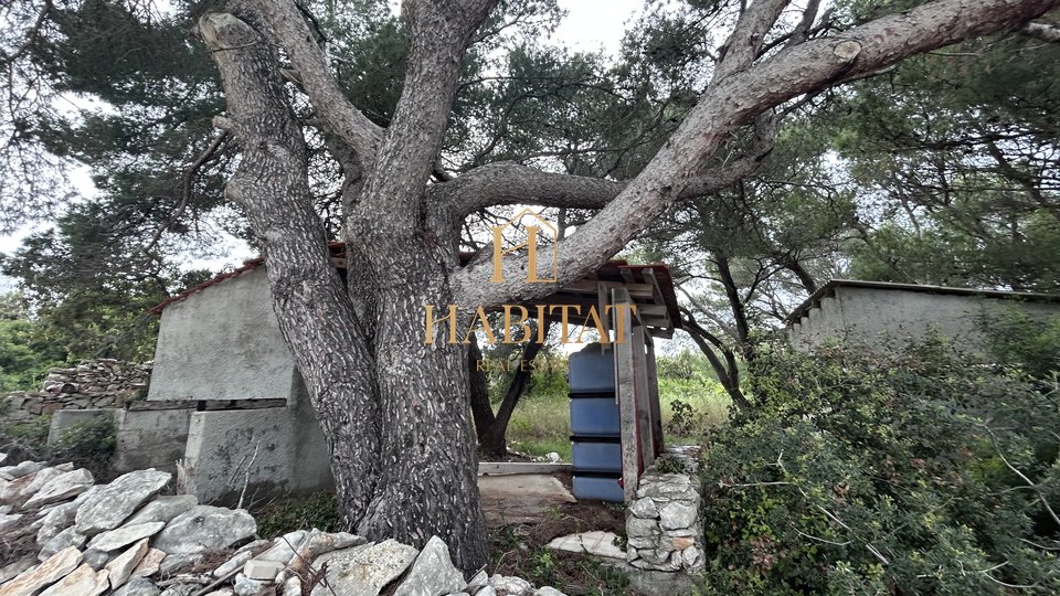 Dalmatien, Brac, Grundstück 19.706m2, erste Reihe zum Meer, 4 Gebäude auf dem Grundstück