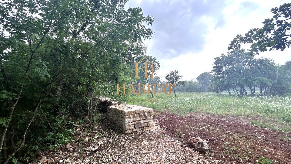 Istria, Vodnjan, agricultural plot 1897m2, fenced with dry wall