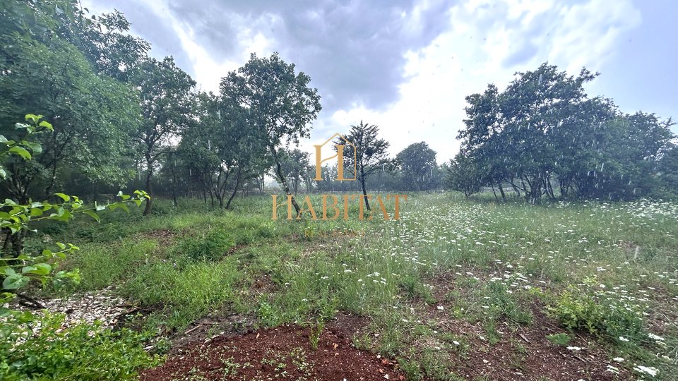 Istria, Vodnjan, agricultural plot 1897m2, fenced with dry wall