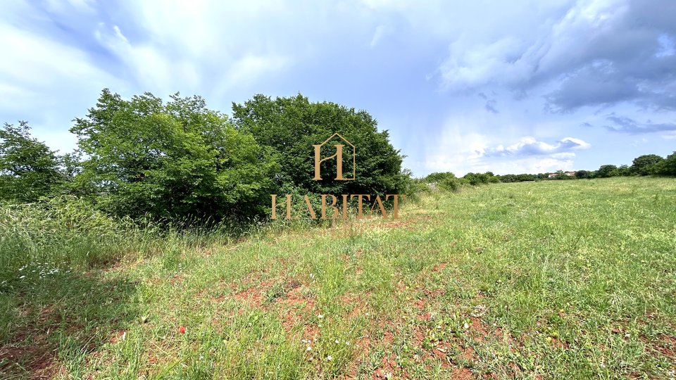 Istria, Vodnjan, building plot 12642m2, residential and commercial zone, center, view