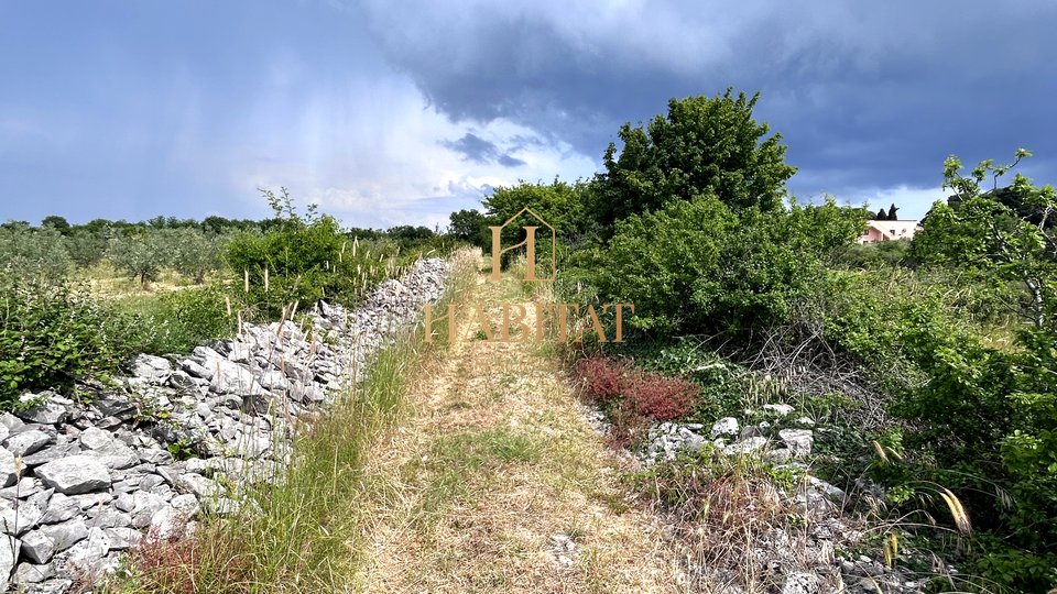 Istria, Dignano, terreno edificabile 12642m2, zona residenziale e commerciale, centro, vista