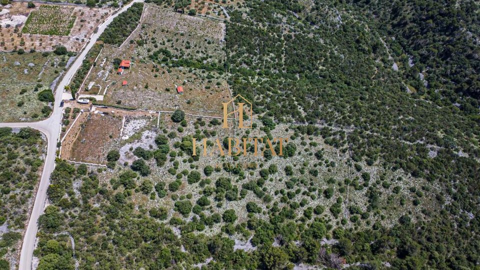 Dalmatien, Čiovo, Grundstück 13.649 m2, drei Häuser auf dem Grundstück, Strom, Wasser, Weinreben