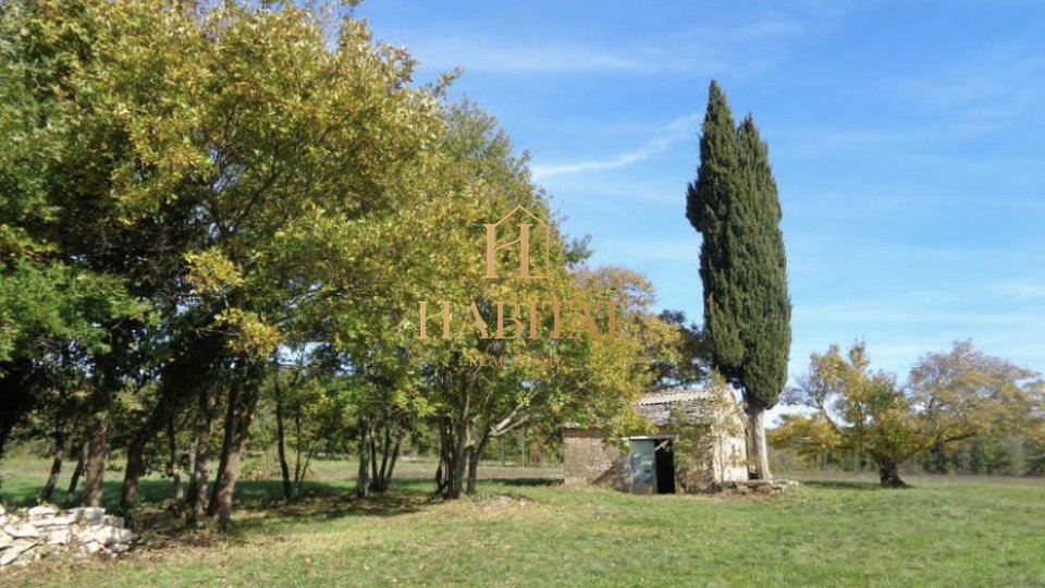 Istria, Gimino, terreno edificabile 20000m2