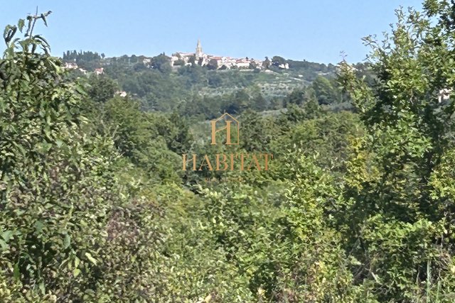 Istra, Krasica, 17.640m2 kmetijsko, sadovnjak, vinograd, gozd, ruševine 39m2 tloris