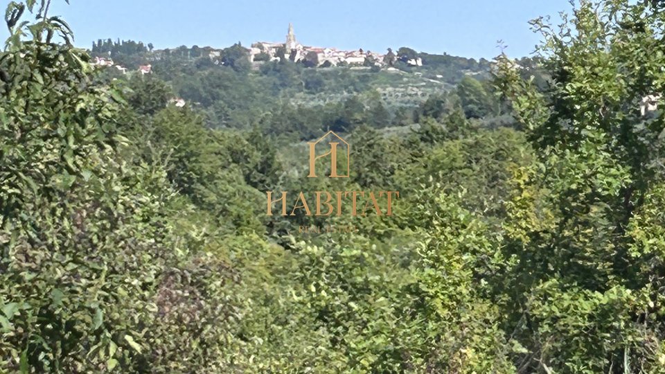 Istra, Krasica, 17.640m2 kmetijsko, sadovnjak, vinograd, gozd, ruševine 39m2 tloris