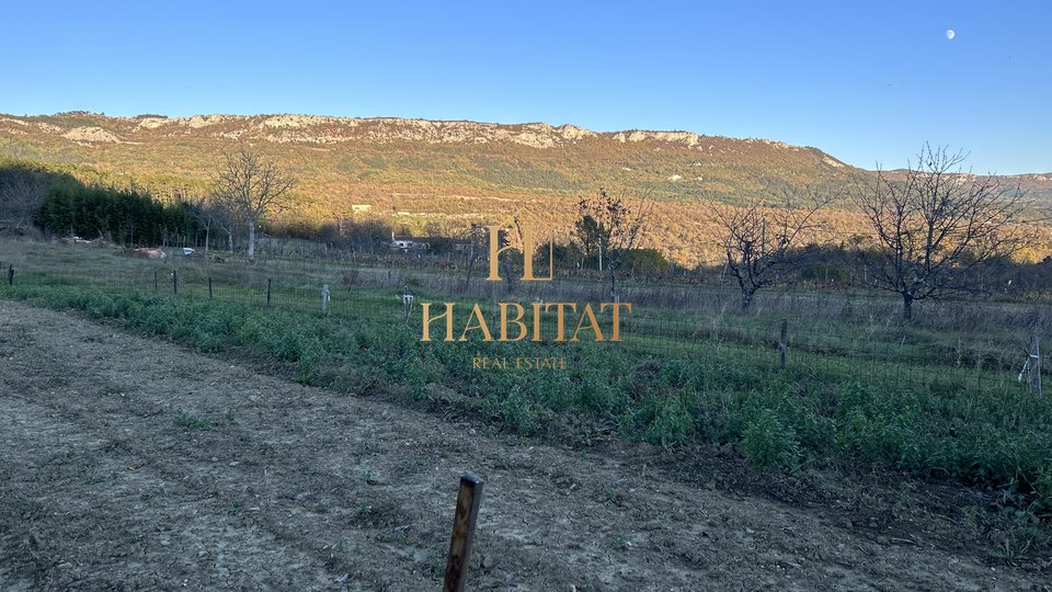 Land, 3614 m2, For Sale, Buzet - Štrped