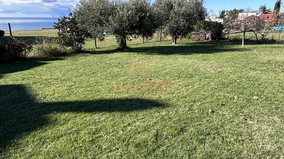 Istria, Umag, Lovrecica, building land 585m2 by the sea, smaller existing legalized building, project for a family house, open sea view