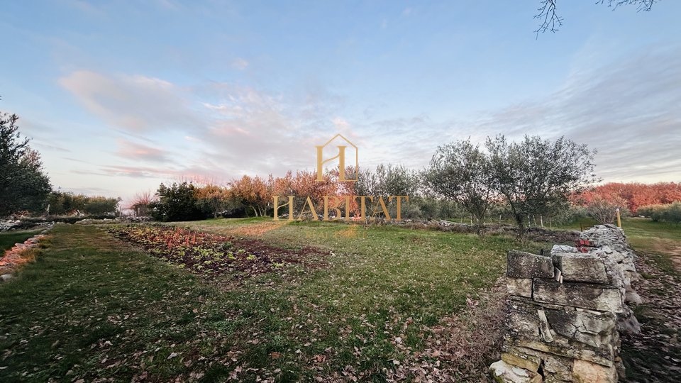 Istra, Kaštel, gradbeno zemljišče 854m2, narava, oljčni nasad, mirna okolica