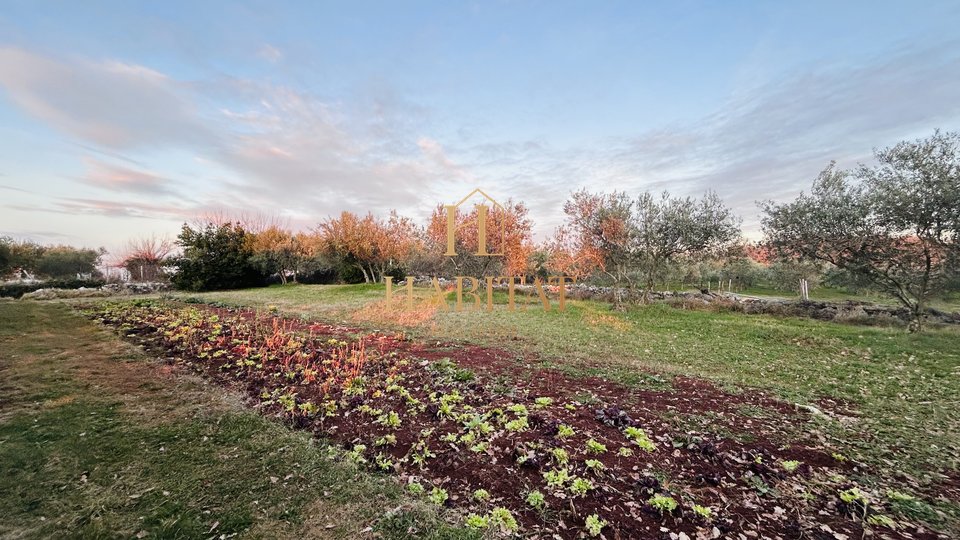 Istria, Kastel, building plot 854m2, nature, olive grove, quiet area