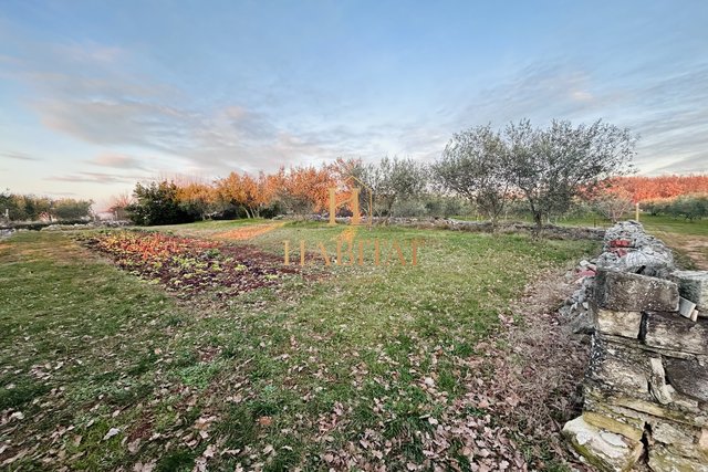 Istrien, Kastel, Baugrundstück 854m2, Natur, Olivenhain, ruhige Lage