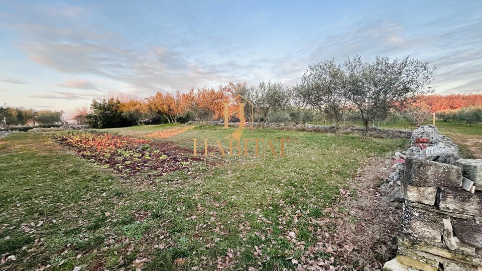 Istria, Kastel, building plot 854m2, nature, olive grove, quiet area