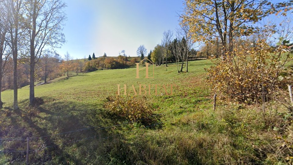 Land, 6725 m2, For Sale, Ravna Gora - Stari Laz