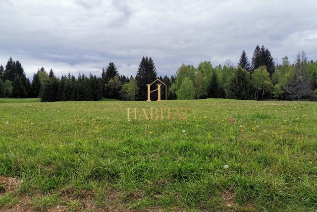 Land, 4193 m2, For Sale, Skrad - Hlevci