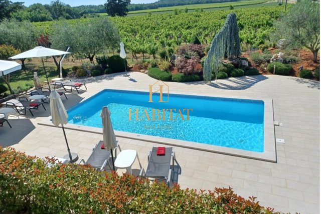 Istria, near Poreč, house 550m2, swimming pool, vineyard, 10 bedrooms