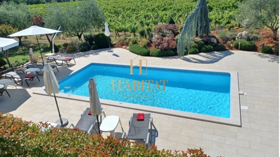 Istria, near Poreč, house 550m2, swimming pool, vineyard, 10 bedrooms