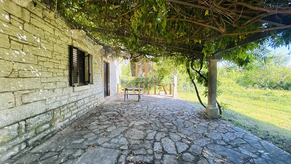 Istria, Momjan, OPPORTUNITY, 2 detached houses, 430m2, quiet village