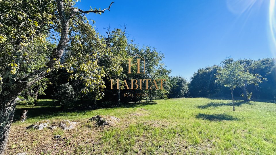 Istria, Momjan, OPPORTUNITY, 2 detached houses, 430m2, quiet village