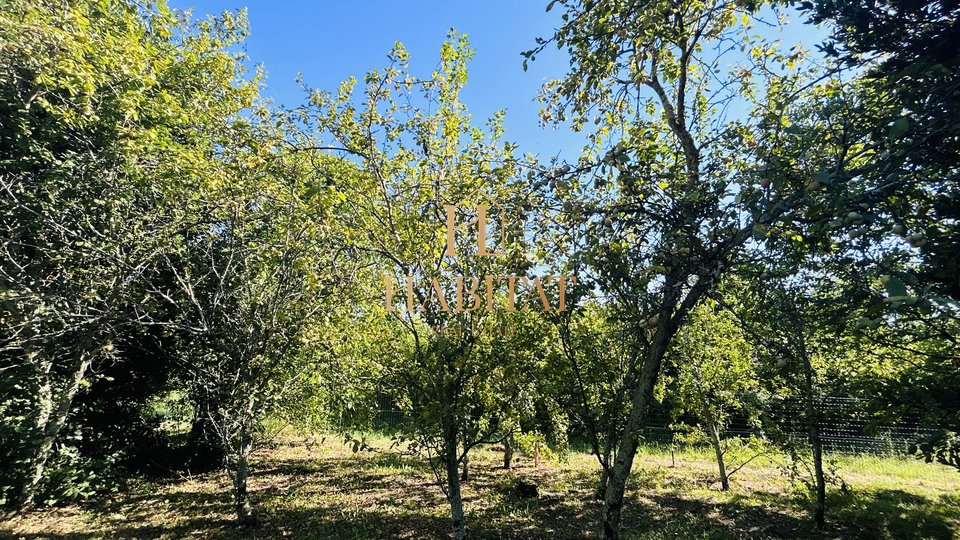 Istrien, Momjan, GELEGENHEIT, 2 Einfamilienhäuser, 430m2, ruhiges Dorf