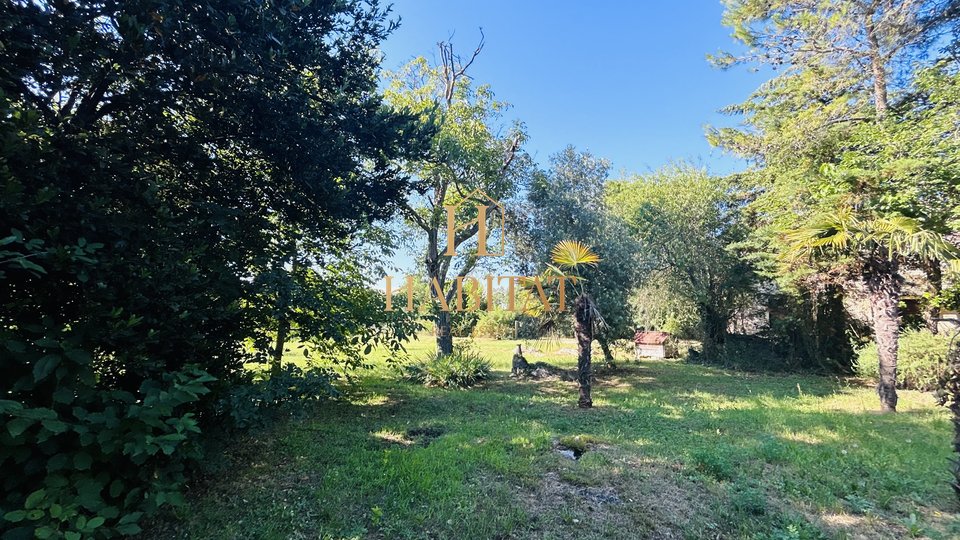 Istria, Momjan, OPPORTUNITY, 2 detached houses, 430m2, quiet village