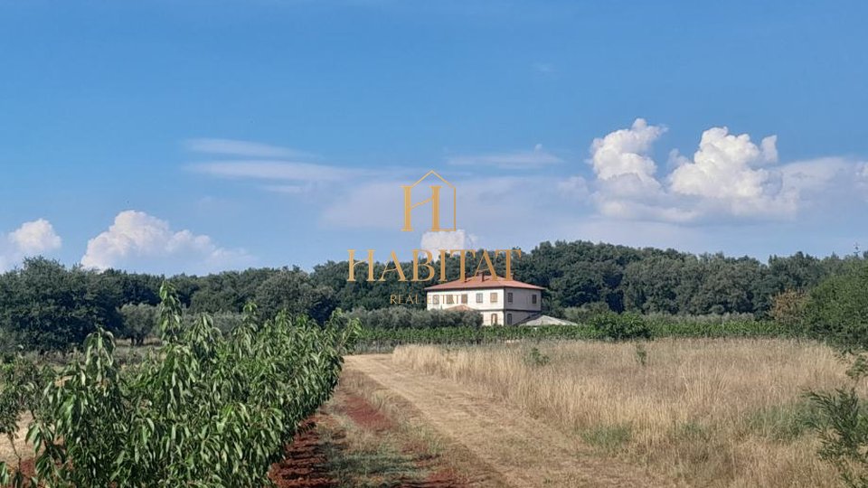 Casa, 500 m2, Vendita, Umag - Juricani