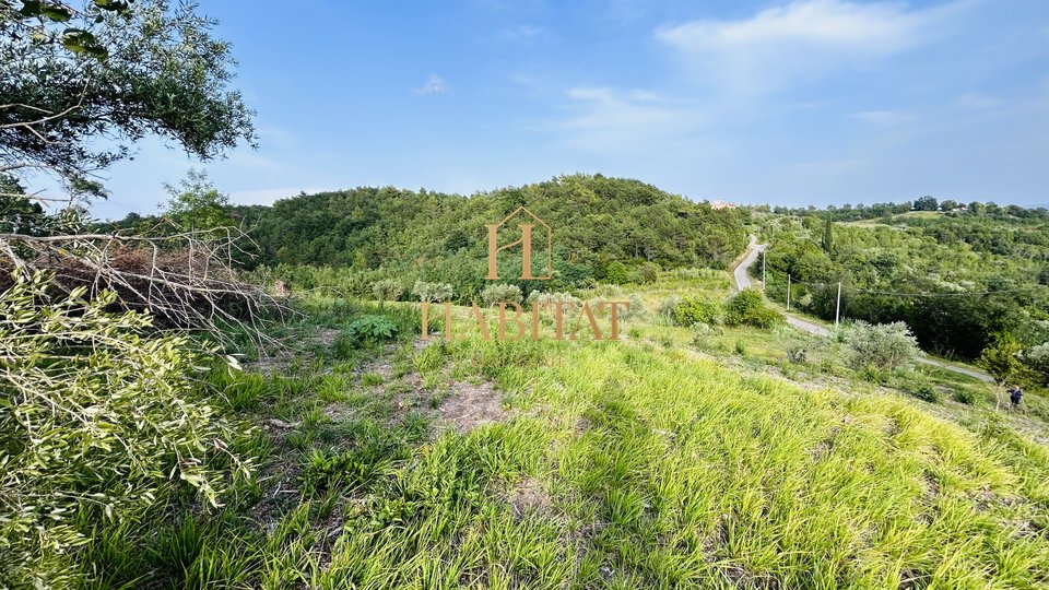 Istra, Krasica, gradbeno zemljišče 2250m2, pogled na morje