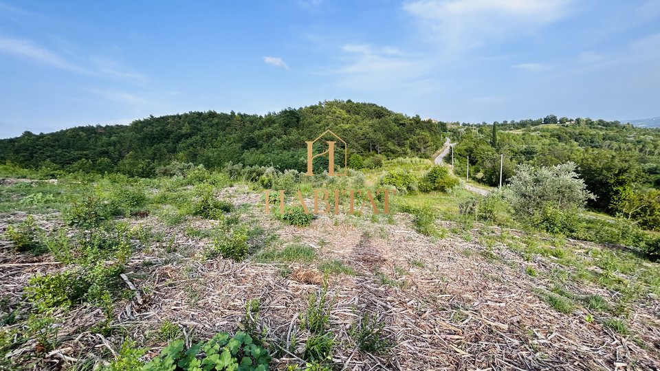 Istra, Krasica, gradbeno zemljišče 2250m2, pogled na morje