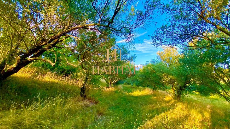 Istria, Draguć, OPPORTUNITY, building plot in a wonderful location, residential purpose